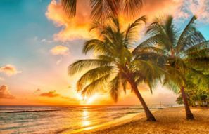 Olcsó szállás Barbadosz