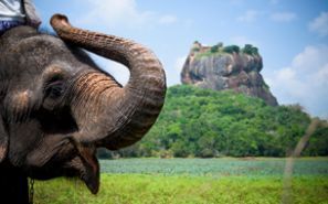 Olcsó szállás Srí Lanka